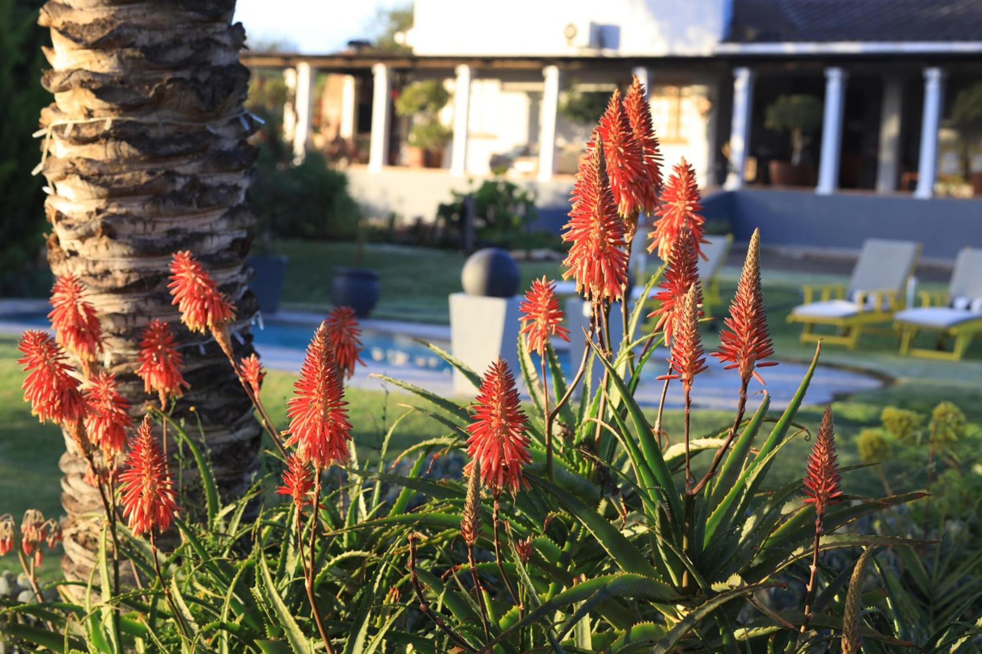 Thylitshia Villa Country Guest House Oudtshoorn Exterior foto